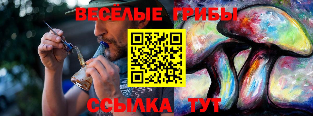 Галлюциногенные грибы Cubensis  Галлюциногенные грибы Psilocybine cubensis  Вход с VPN  Владикавказ 